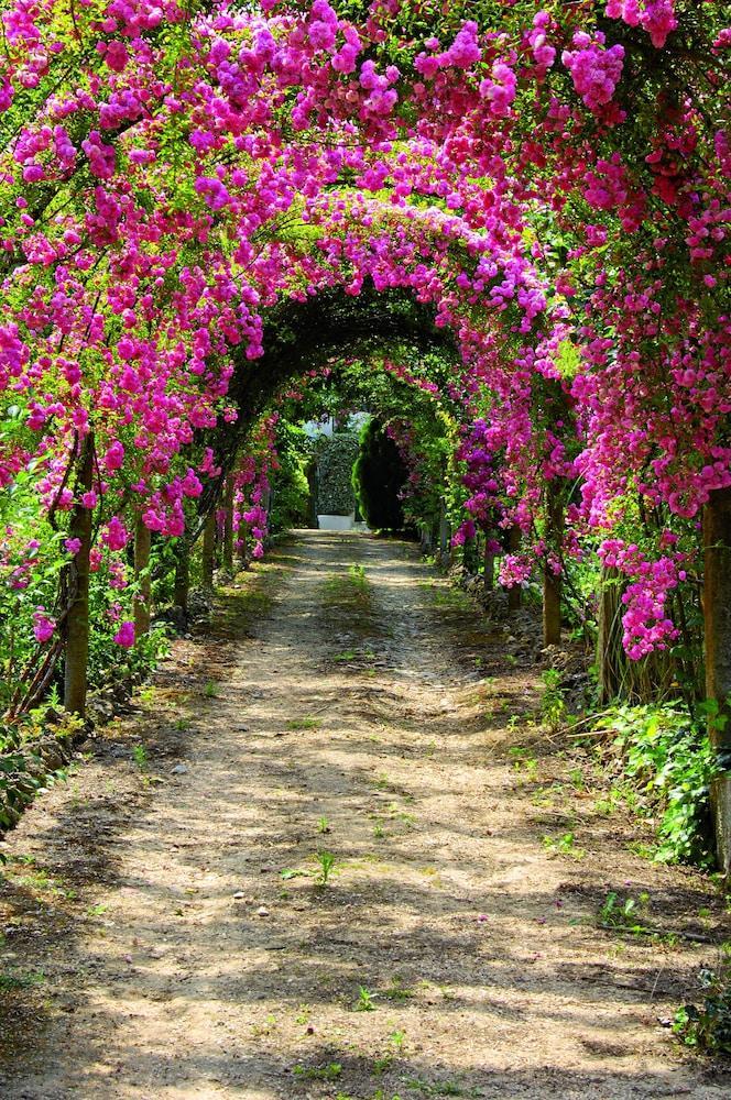 Quinta De Sao Lourenco Anadia Bagian luar foto