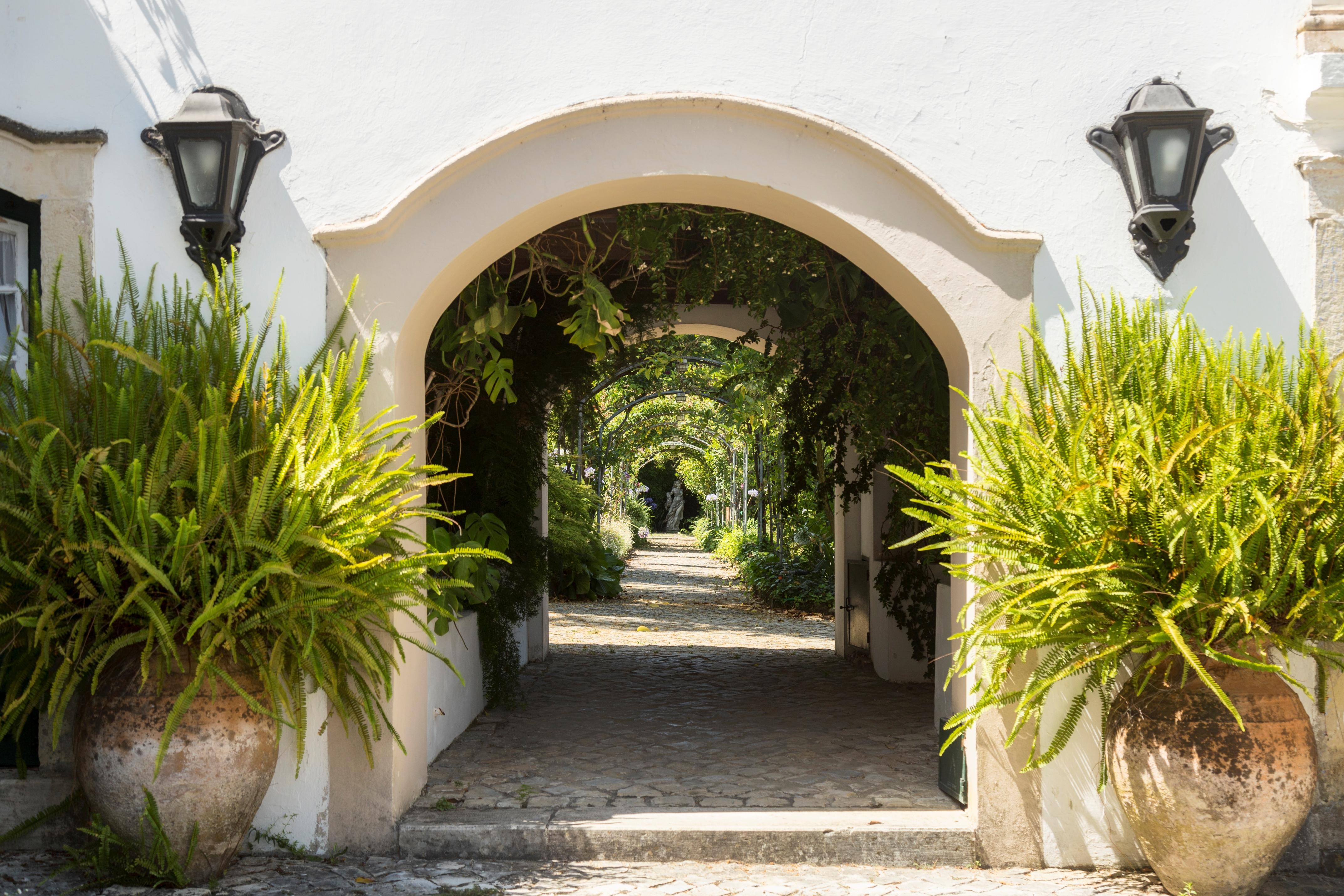 Quinta De Sao Lourenco Anadia Bagian luar foto