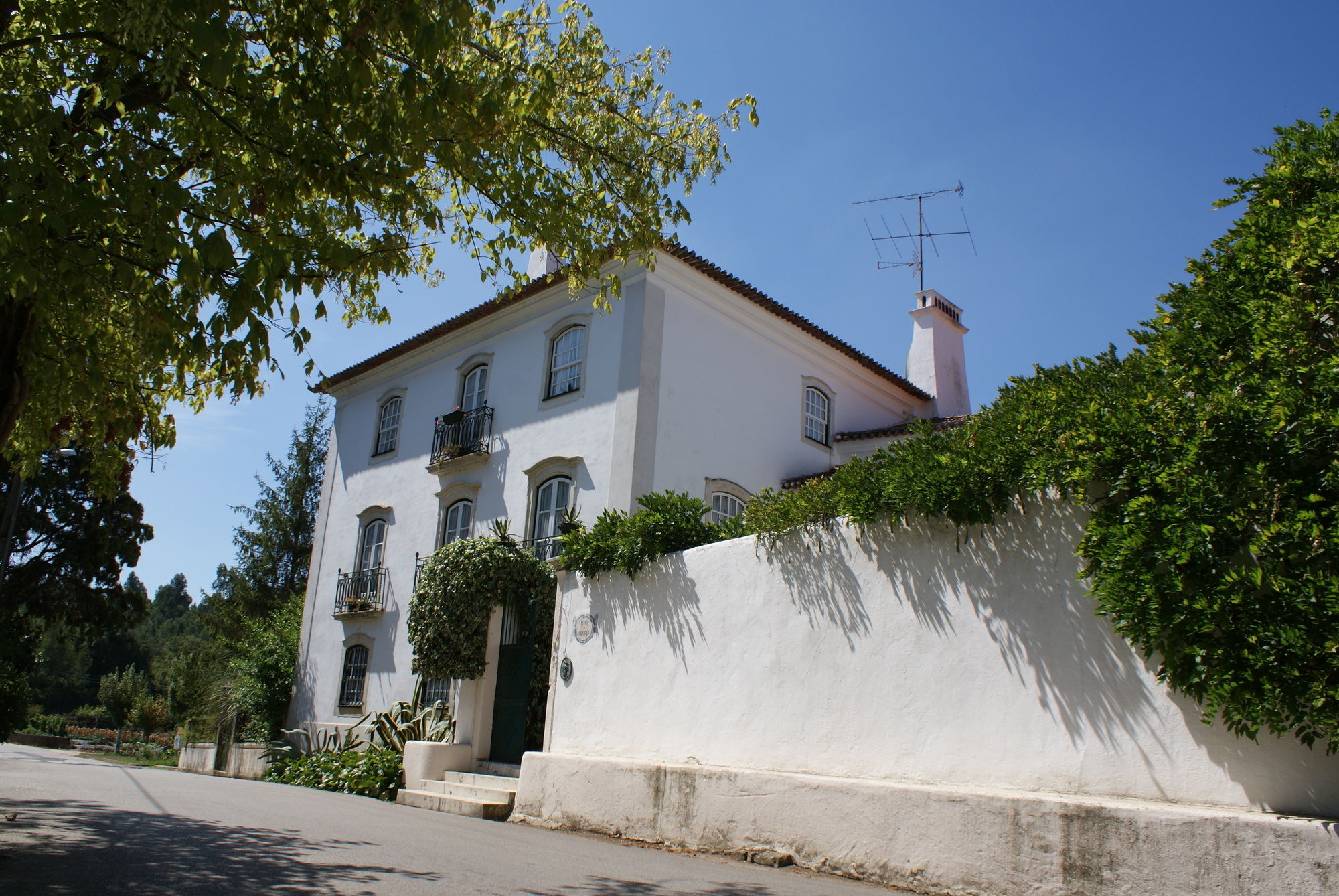 Quinta De Sao Lourenco Anadia Bagian luar foto